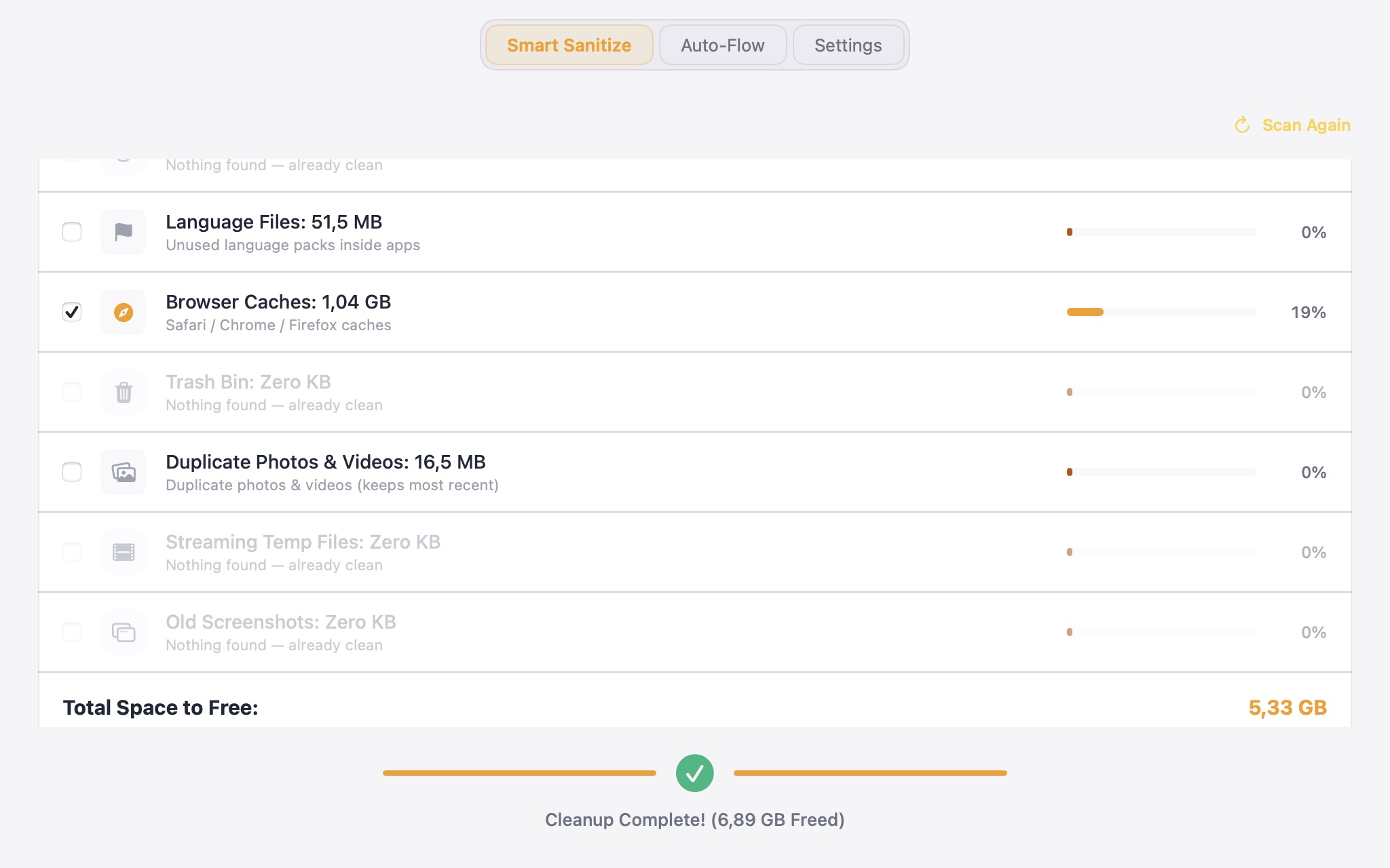 iOrganize Smart Sanitize scan results with categories and review controls