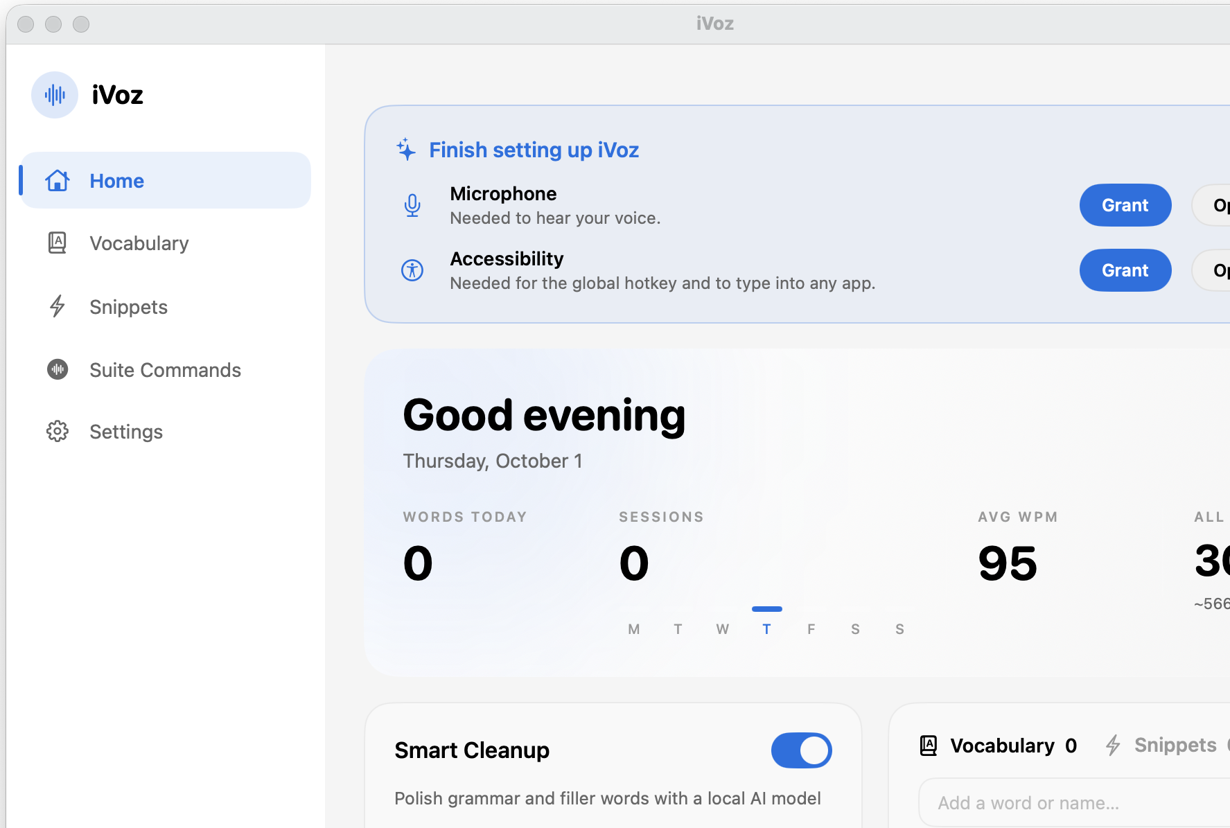 Real iVoz macOS dashboard capture